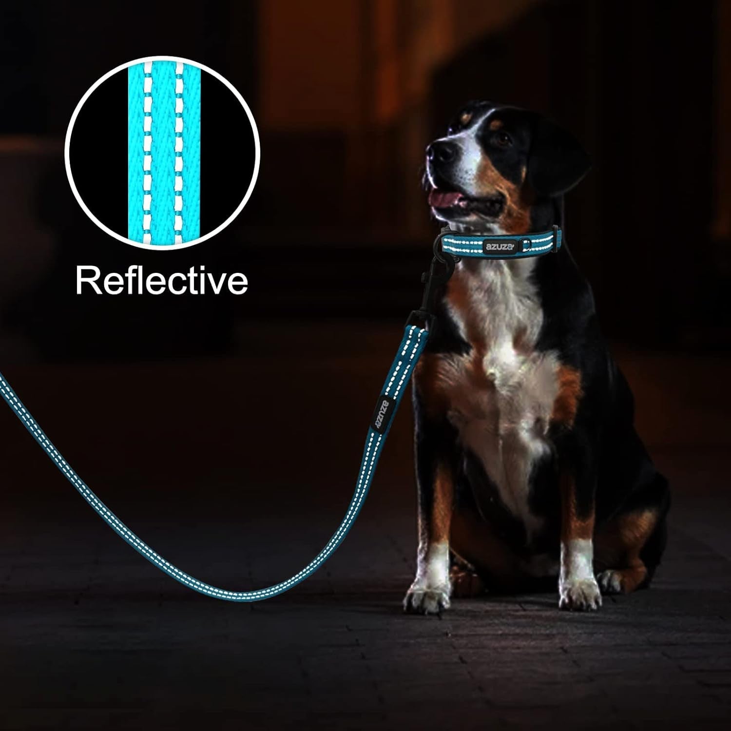 Durable Padded Dog Leash and Collar Set, with Airtag Holder and Reflective Strip, Extra Safe and Comfy for Small Dogs,Blue