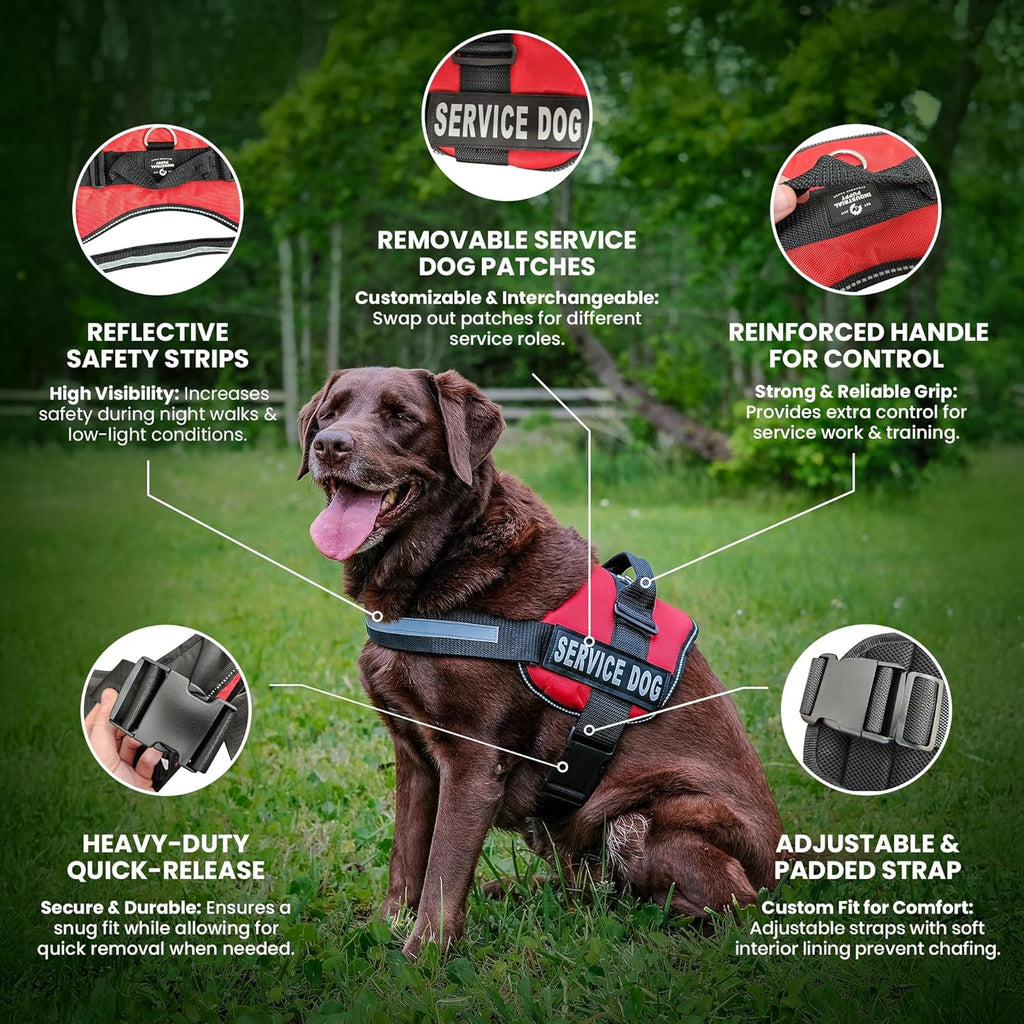 Service Dog Vest with Hook and Loop Straps and Matching Service Dog Leash Set - Harnesses from XXS to XXL - Harness Features Reflective Patch and Comfortable Mesh Design