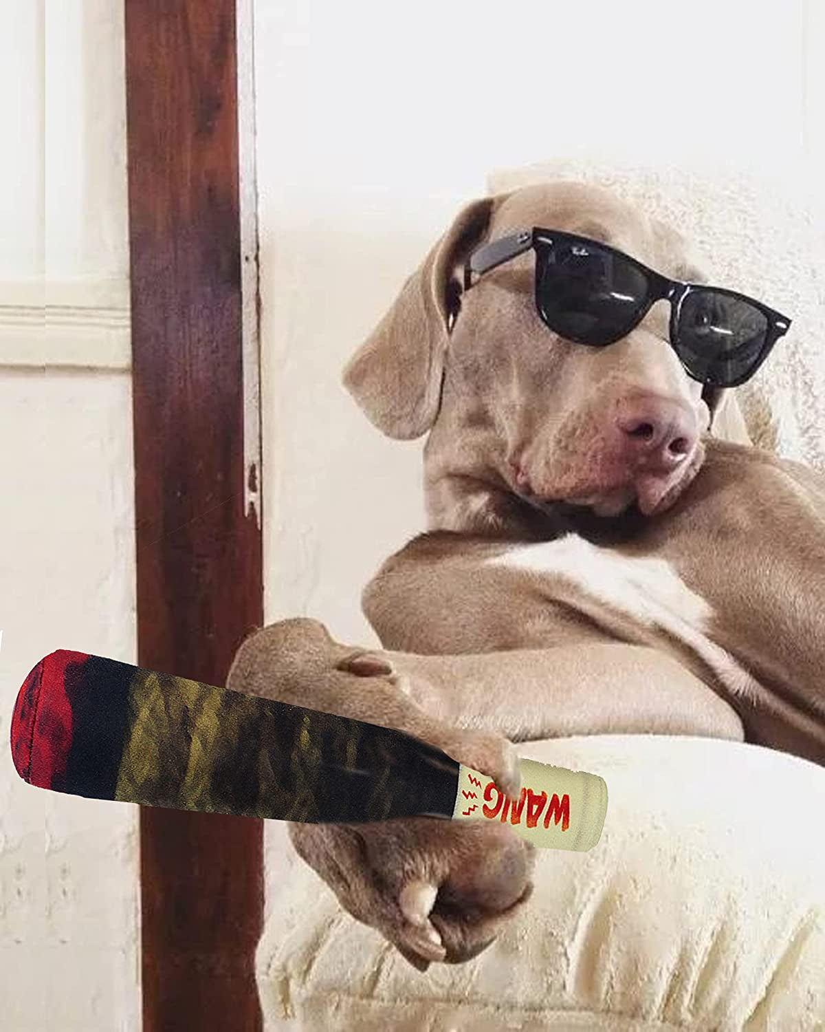 Funny Dog Toys, Cute Plush Squeaky Dog Toys, Cool Birthday Dog Gifts, Stuffed Dog Toys for Medium, Small and Large Dogs Puppy, Dog Chew Toy